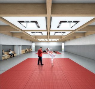 acousticien palais des sports salle dojo